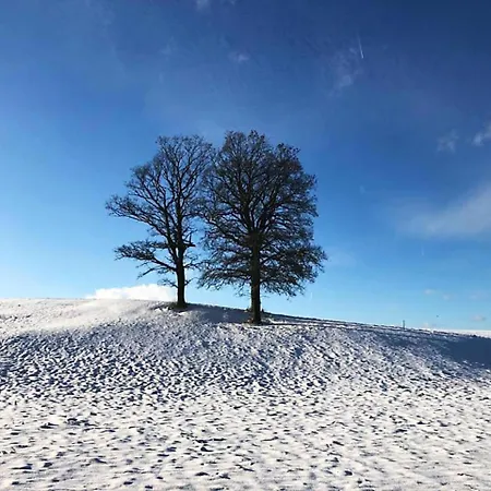 Feriehus Nettershaeuschen In Nettersheim, Eifel