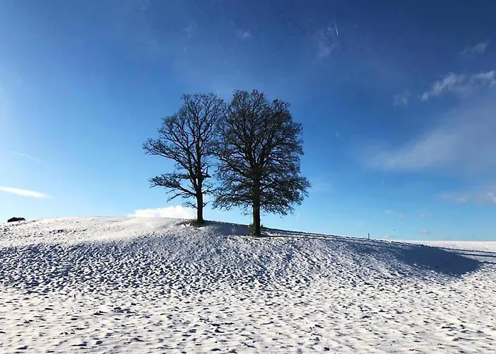 Prázdninový dům Nettershaeuschen In Nettersheim, Eifel